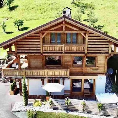 Androsace Appartement Dans Chalet Bois Avec Jacuzzi Privatif Terrasse Et Vue Montagne Les Villards-sur-Thones Exterior foto