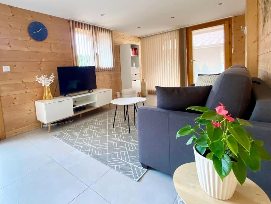 Androsace Appartement Dans Chalet Bois Avec Jacuzzi Privatif Terrasse Et Vue Montagne Les Villards-sur-Thones Exterior foto