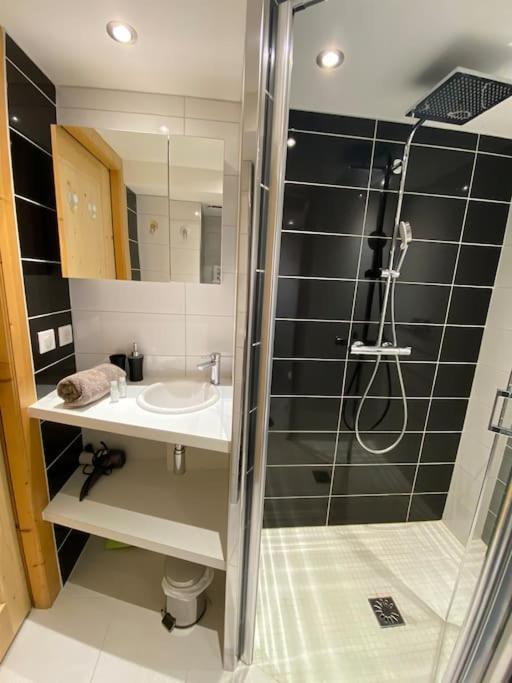 Androsace Appartement Dans Chalet Bois Avec Jacuzzi Privatif Terrasse Et Vue Montagne Les Villards-sur-Thones Exterior foto